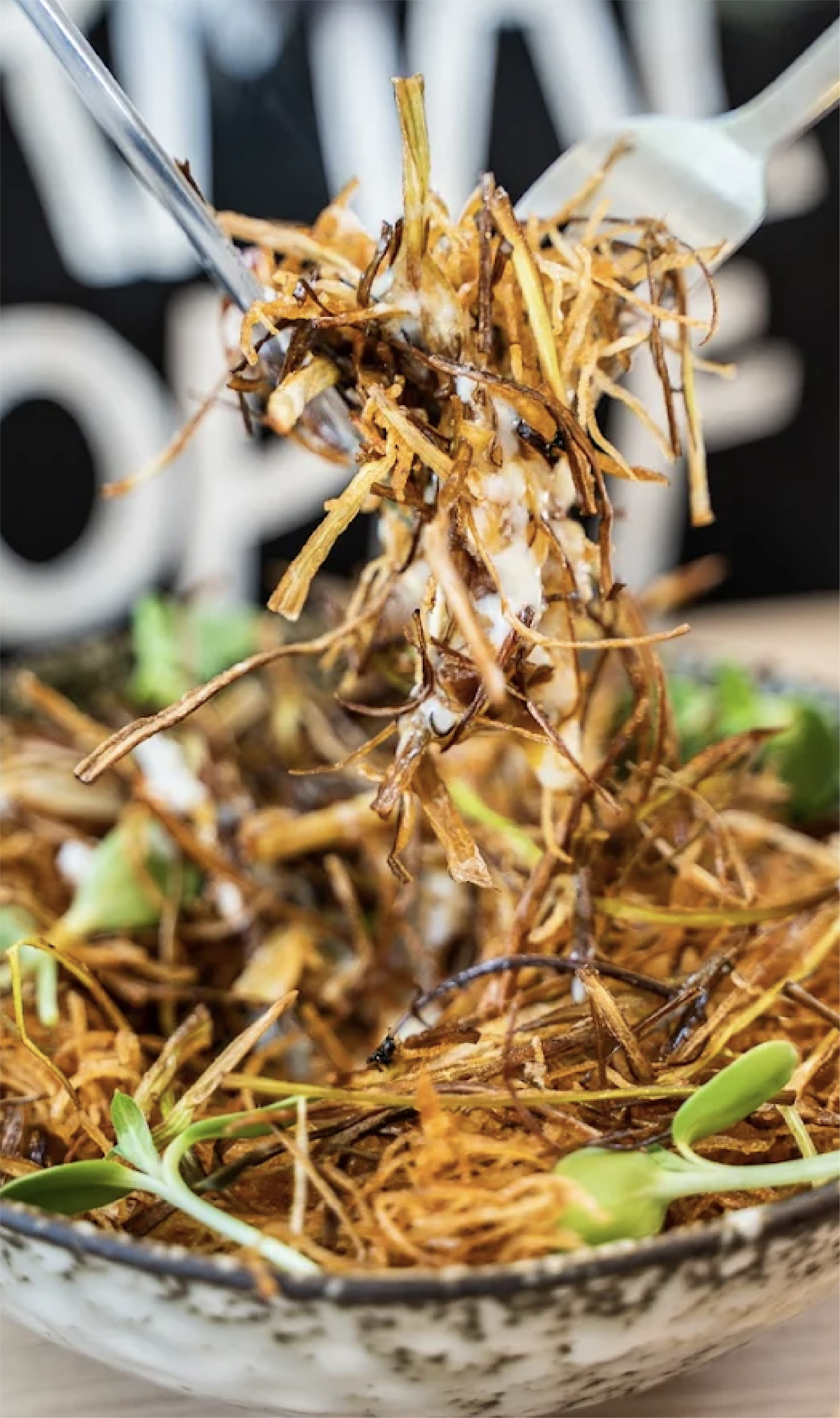 Crispy garnish stacked over fresh greens on a ceramic bowl — a signature plate.
